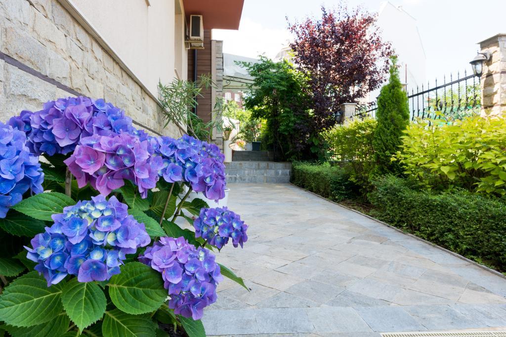 Siena House Otel Süzebolu Dış mekan fotoğraf